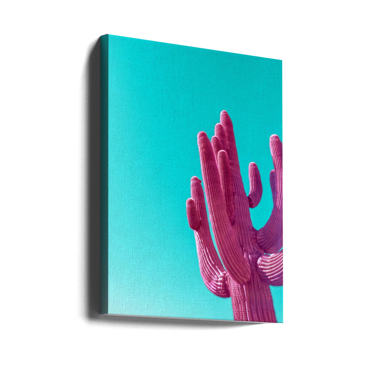 Magenta Rosa Saguaro | Canvas