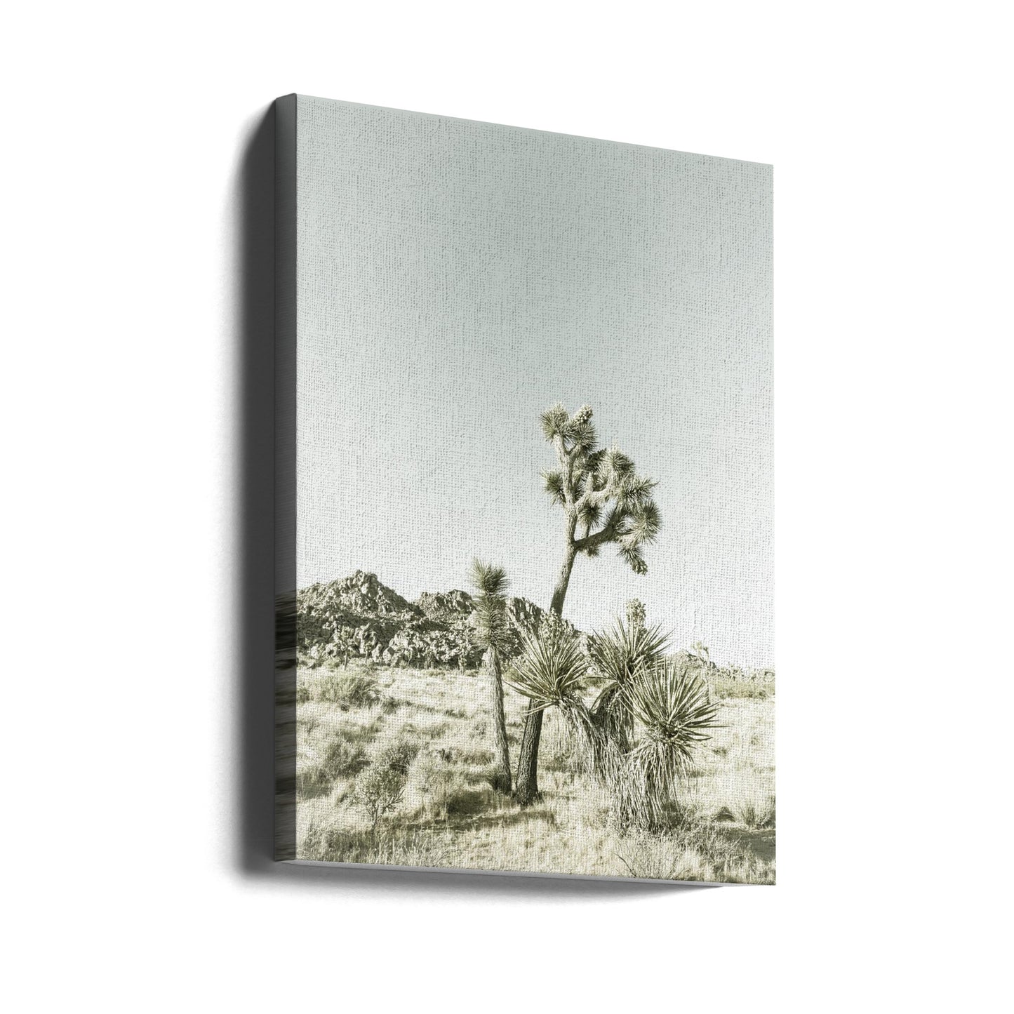 Impressione d'epoca del Parco nazionale di Joshua Tree | Stampe su Tela