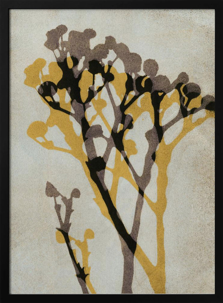 Echos von Gypsophila | Poster