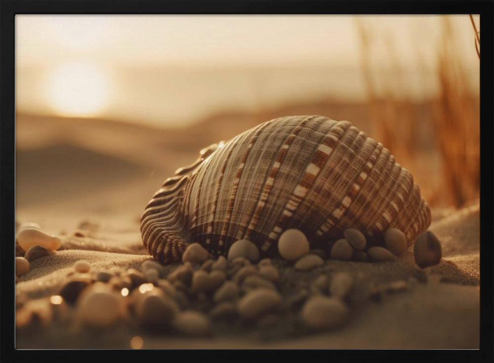 Seashell Serenity | Poster