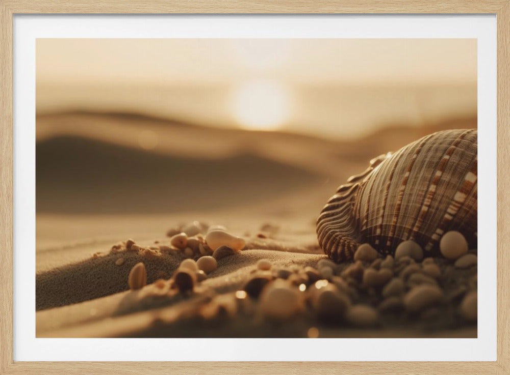 Seashell Serenity | Poster
