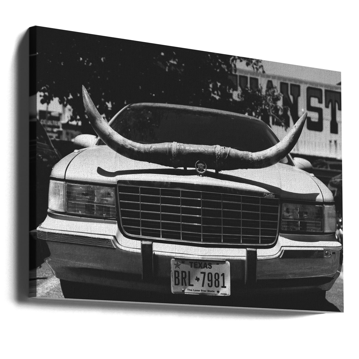 Texas Ride | Lerretsbilder