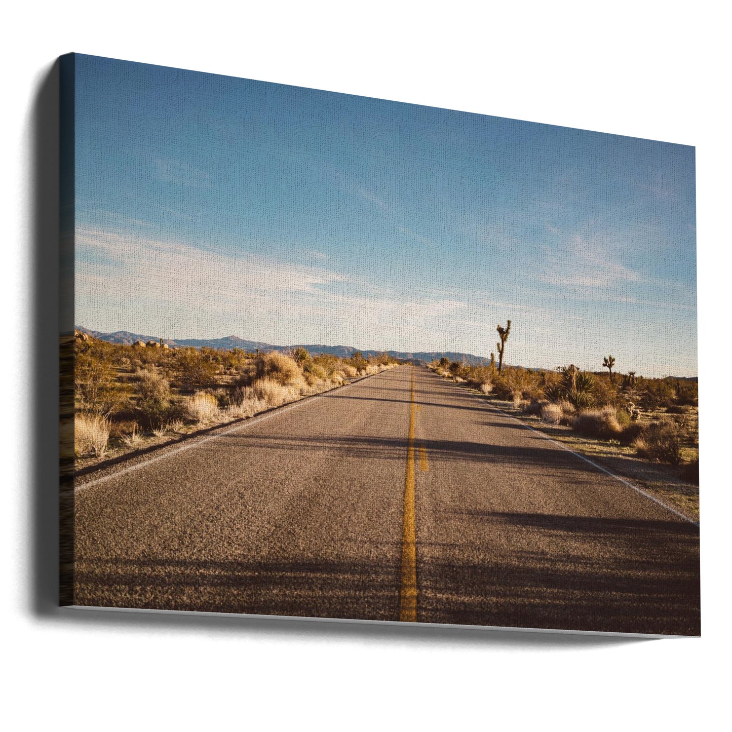 Route de Joshua Tree | Tableaux sur Toile