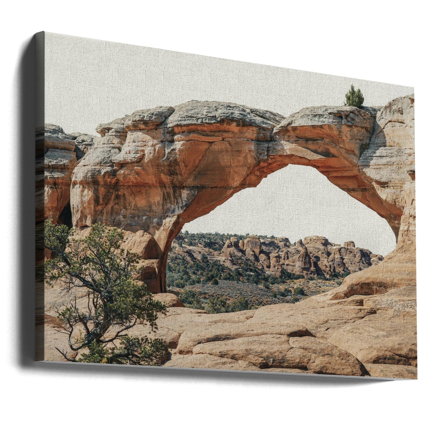 Vue vers l'ouest | Tableaux sur Toile