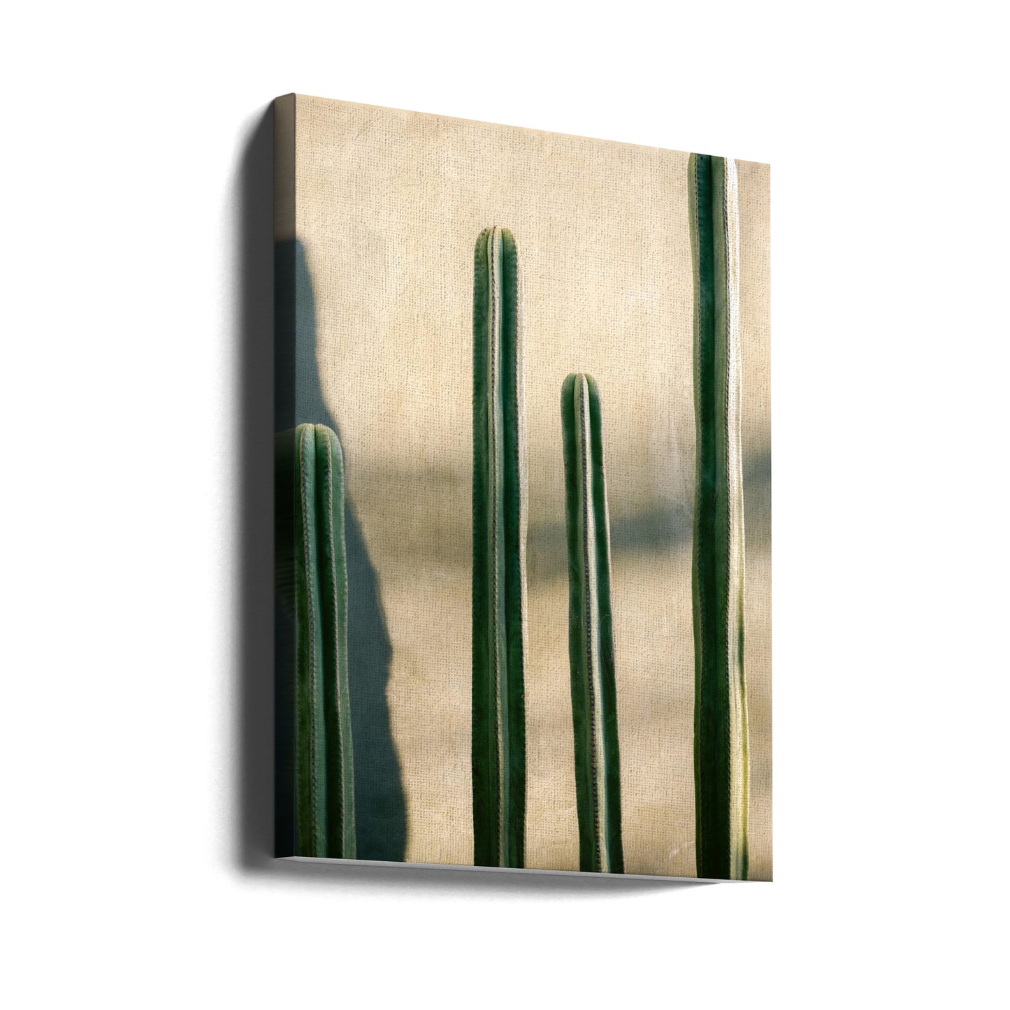 Oaxaca nyanser av grönt | Resefotografering i Mexiko | Canvas