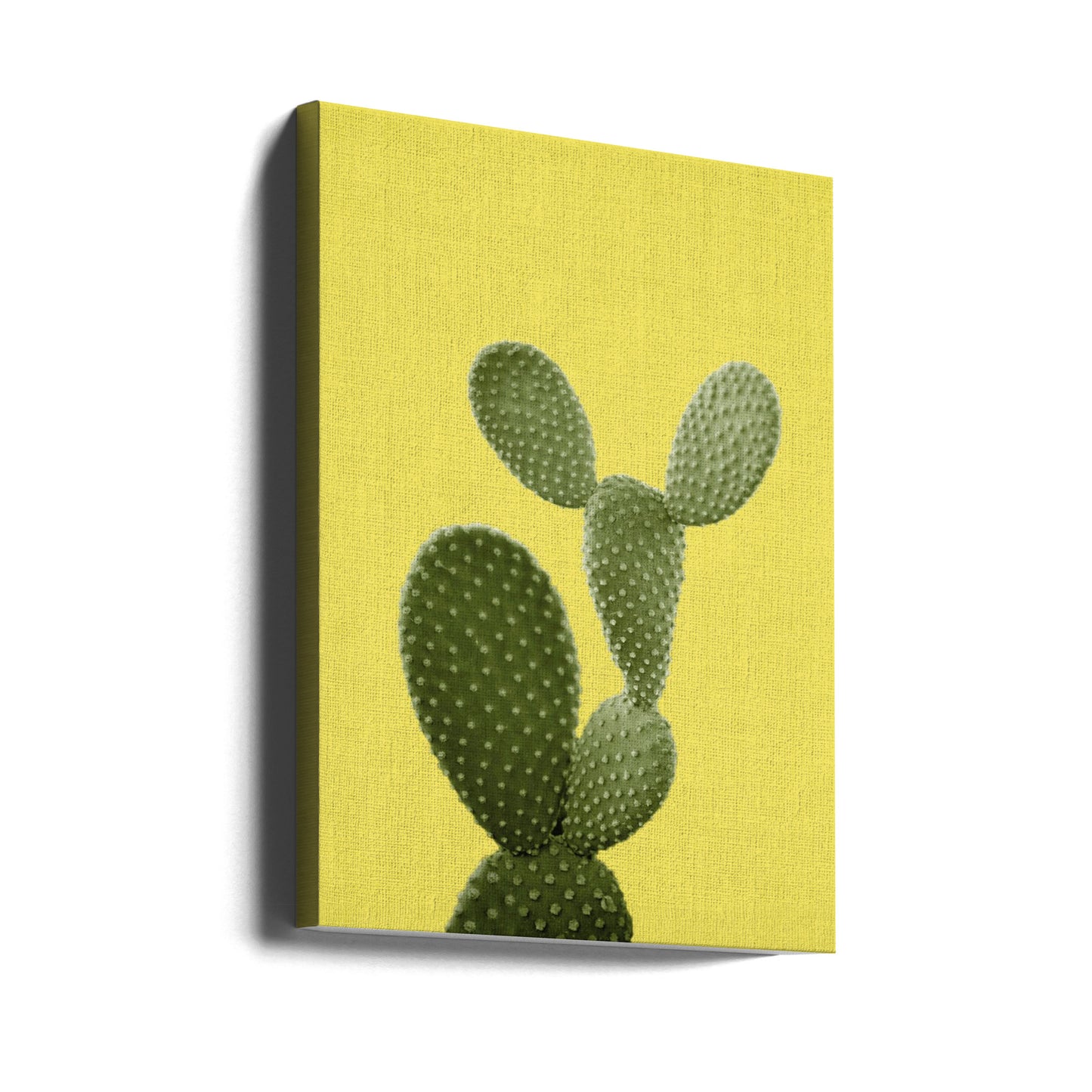 Cactus jaune | Tableaux sur Toile