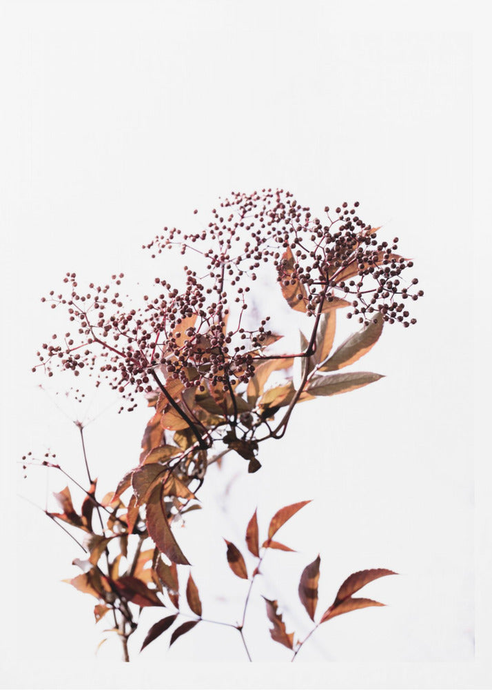 Unknown 14 | Poster