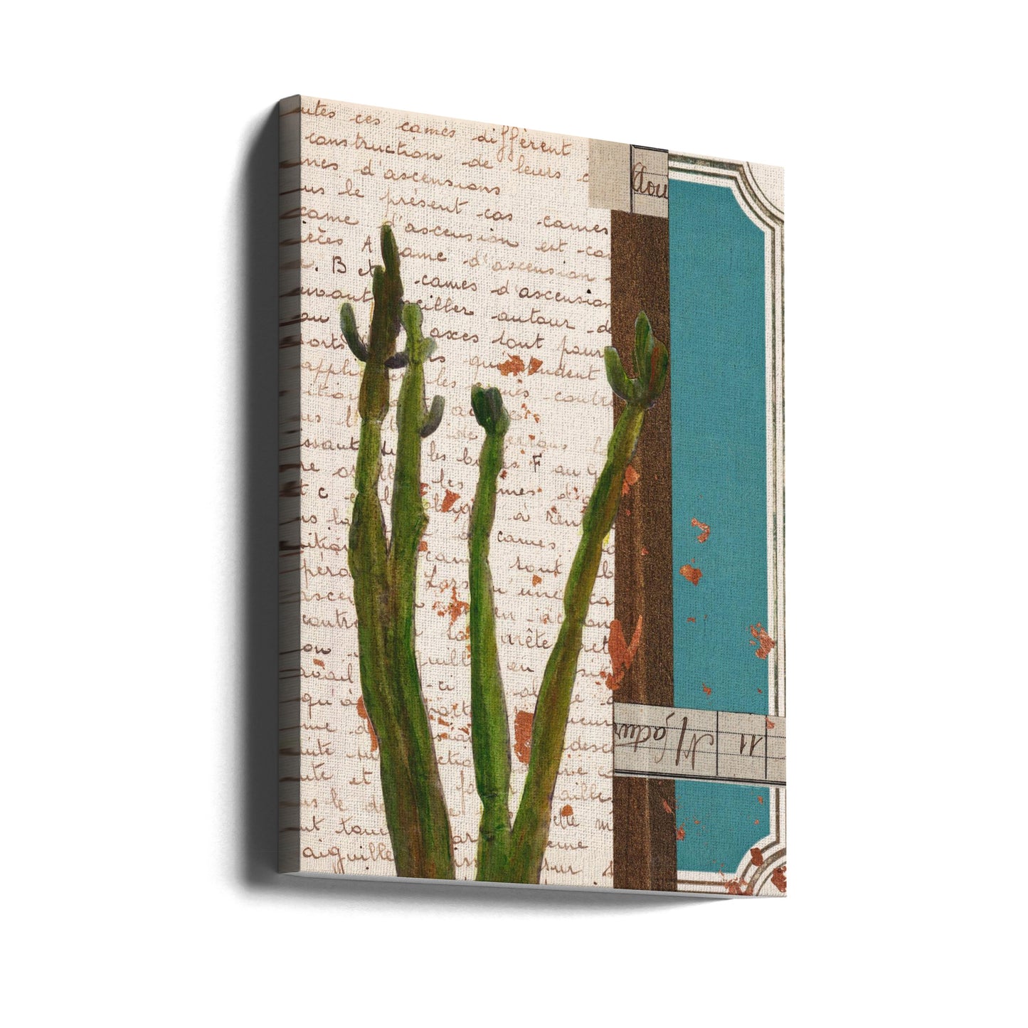 Cactus I | Impresiones en Lienzo