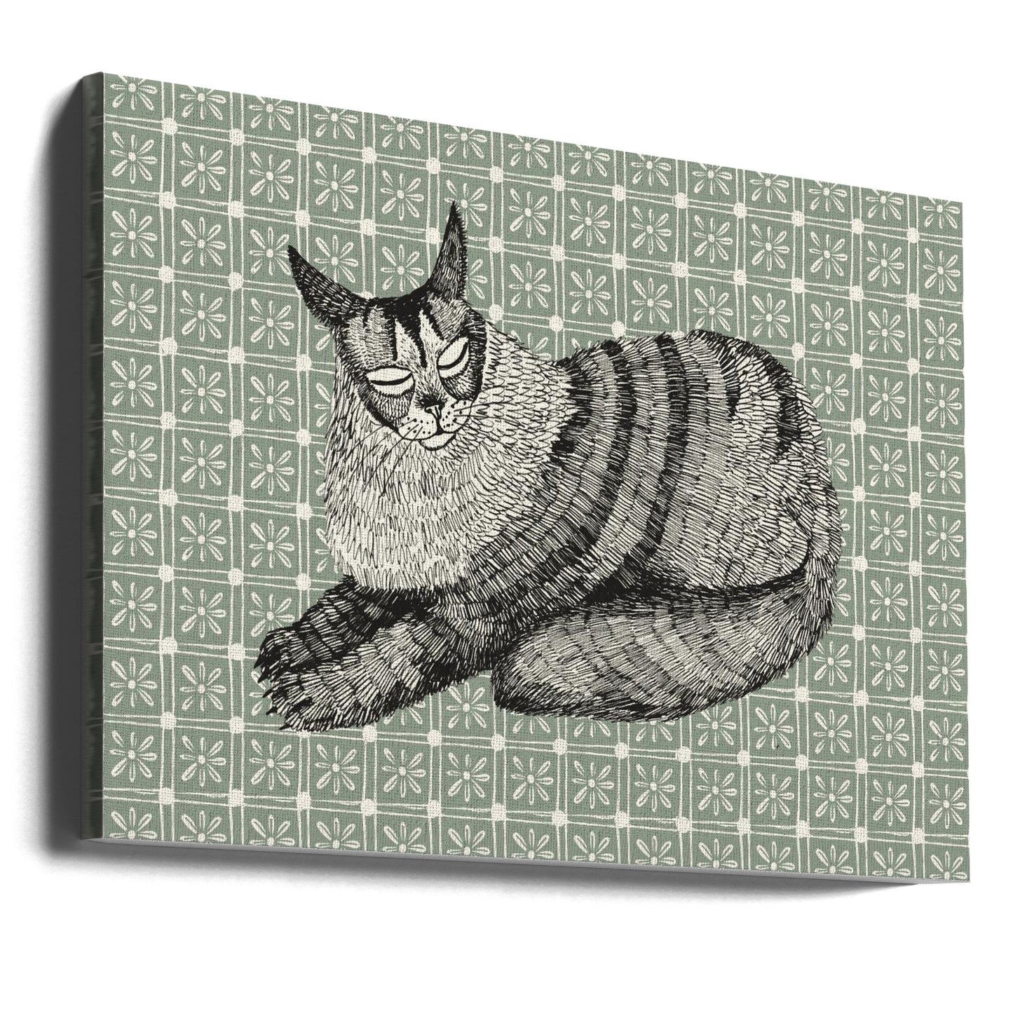 Maine Coon | Lærredsbilleder