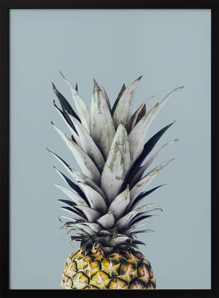 Pineapple 1 | Poster