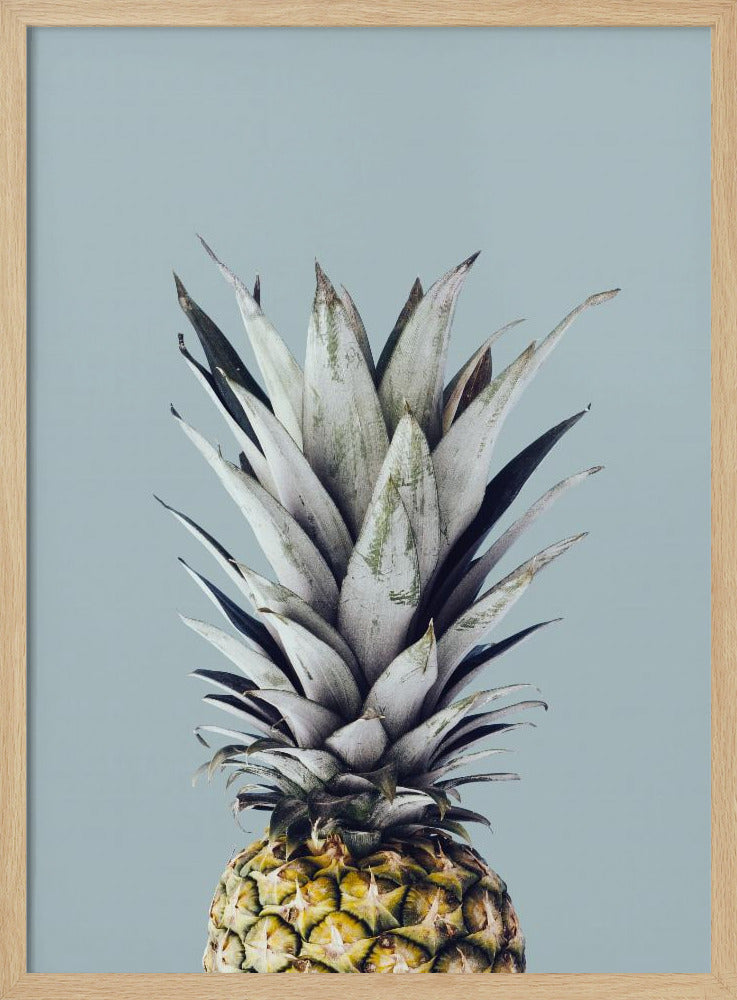 Pineapple 1 | Poster
