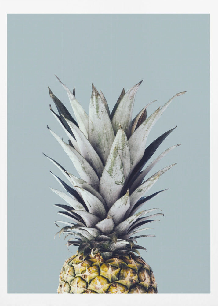 Pineapple 1 | Poster