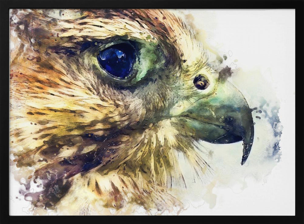 Animal Bird Kestrel Watercolor Animal Art | Poster