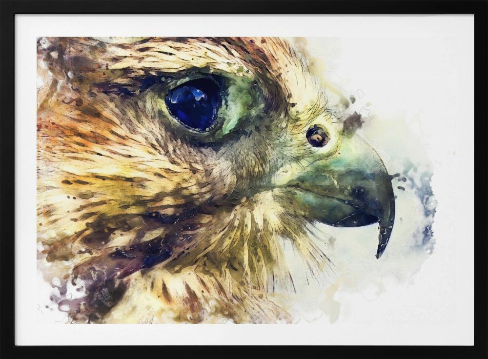 Animal Bird Kestrel Watercolor Animal Art | Poster