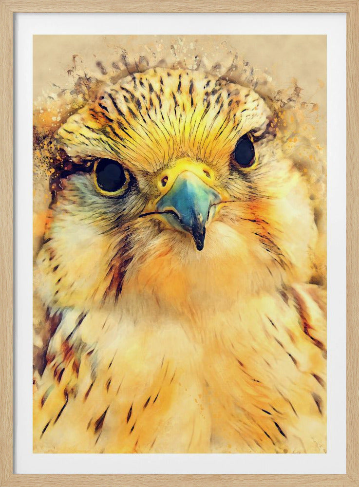 Animal Falcon Watercolor Animal Art | Poster