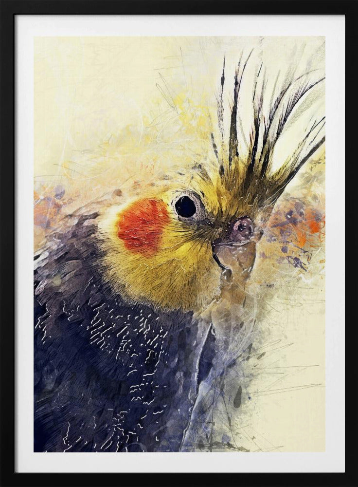 Animal Bird Cockatiel Watercolor Animal Art | Poster