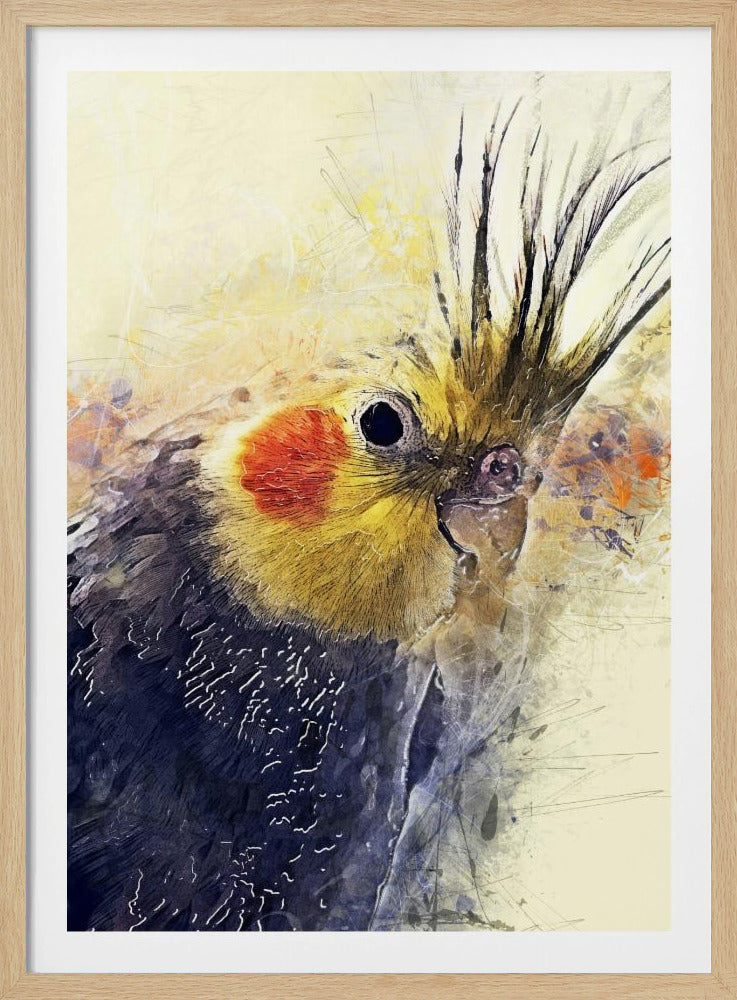 Animal Bird Cockatiel Watercolor Animal Art | Poster
