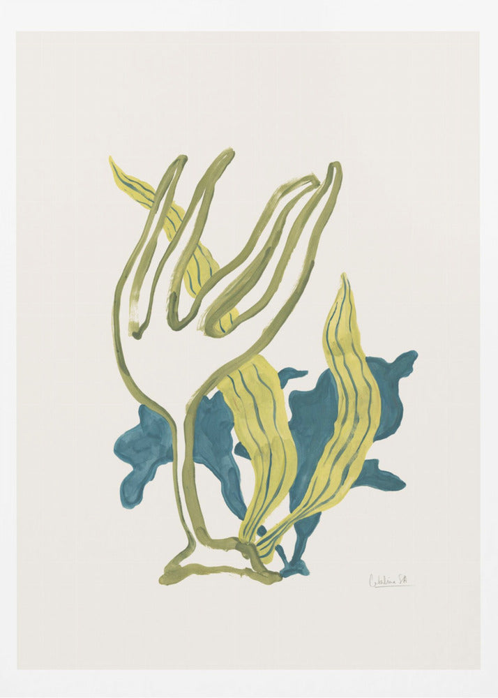 Algae No2 | Poster