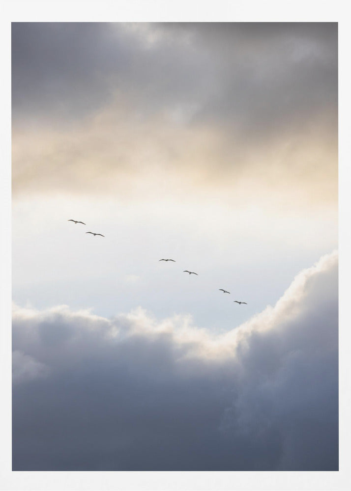 Flying High 10 | Poster