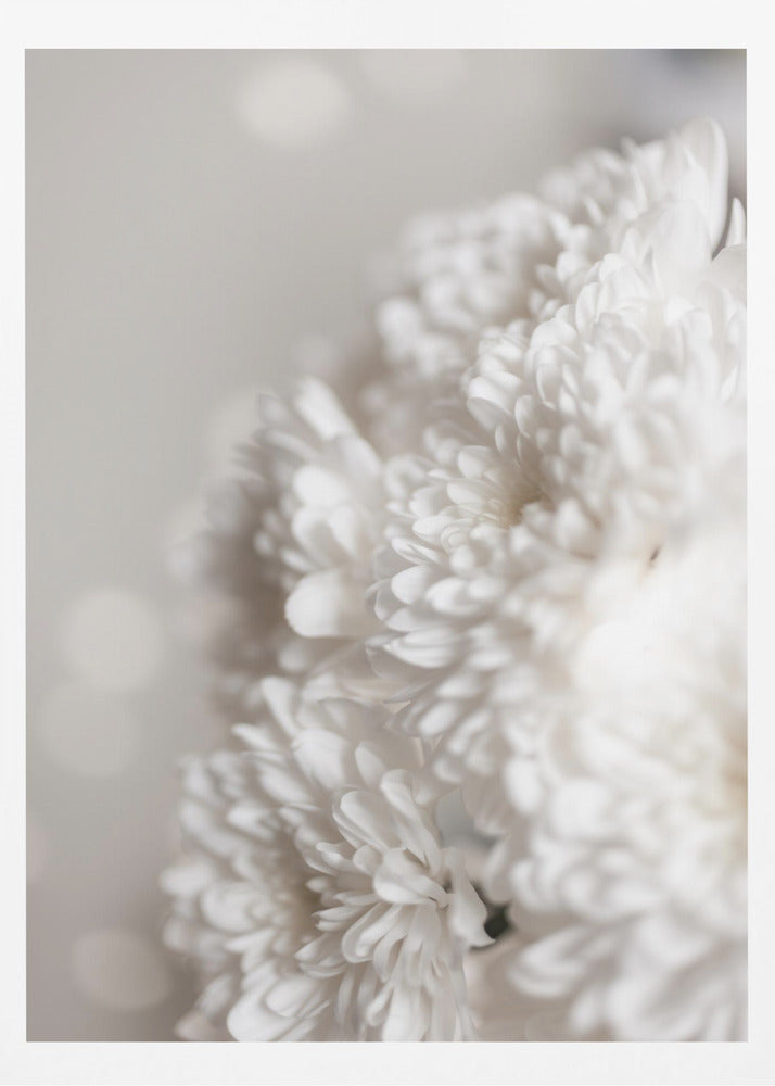 White Flowers | Poster