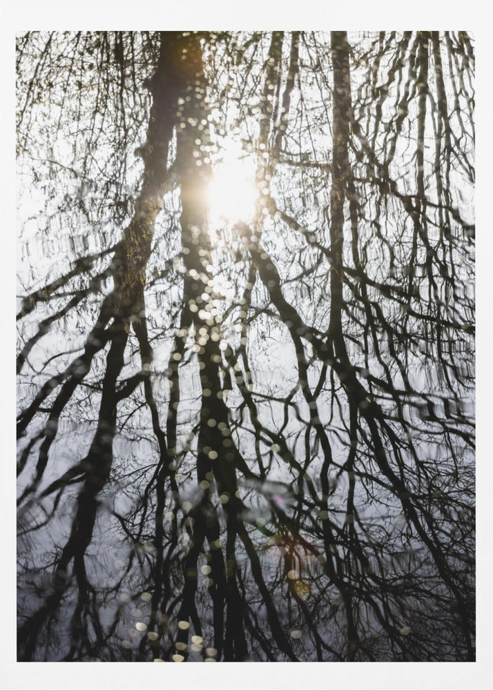 Winter Reflections 4 | Poster