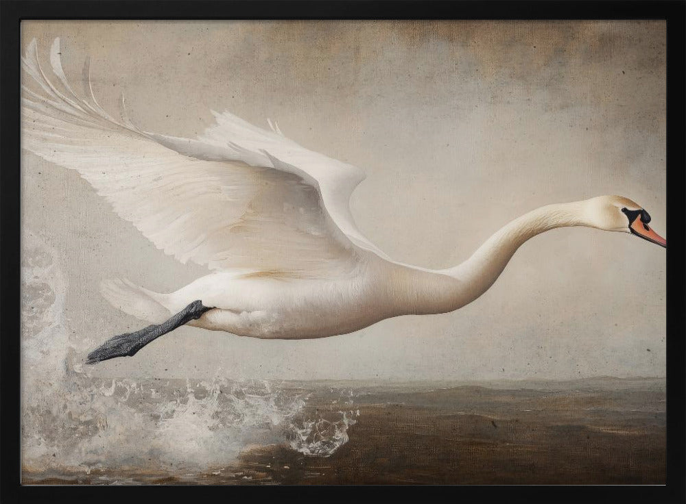 Graceful Flight | Poster