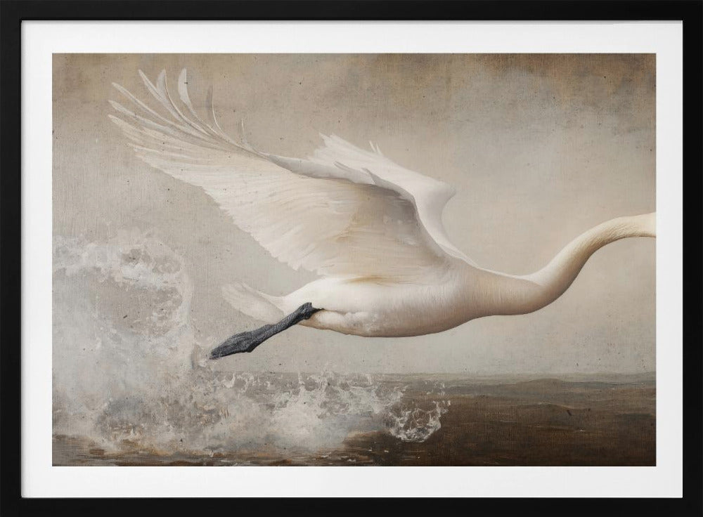 Graceful Flight | Poster