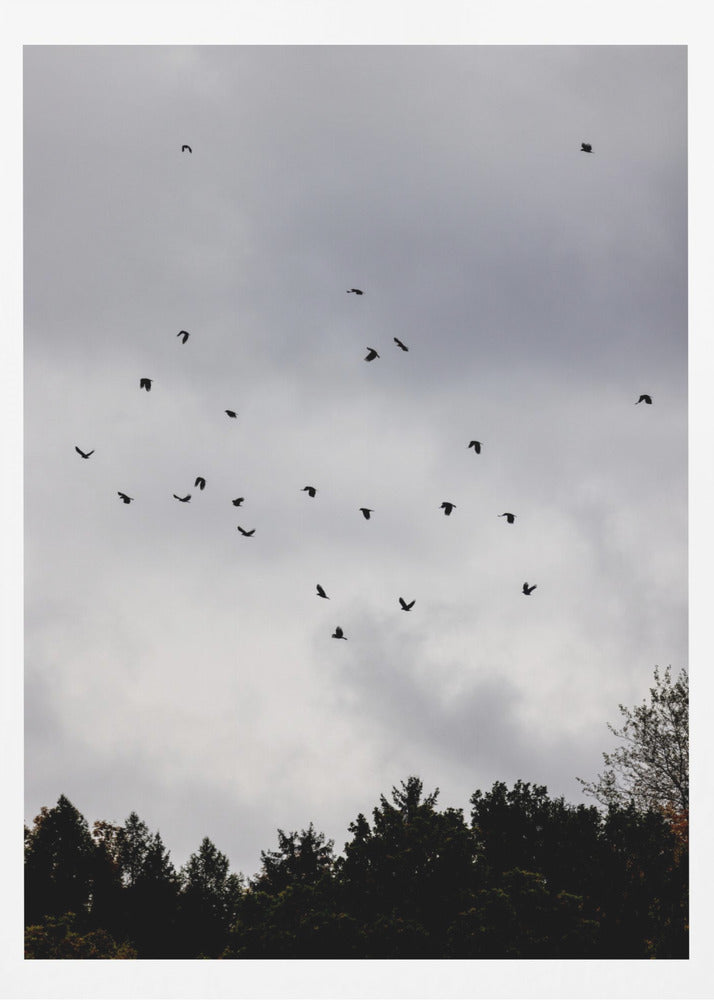 Birds and Clouds 1 | Poster