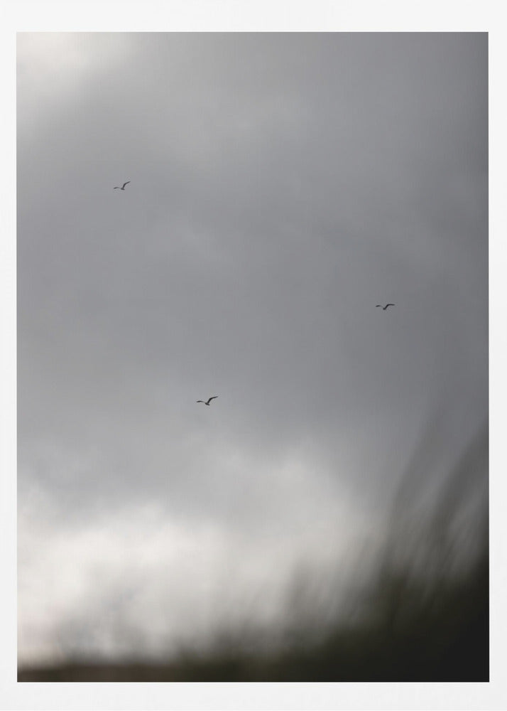 Birds and Clouds 2 | Poster
