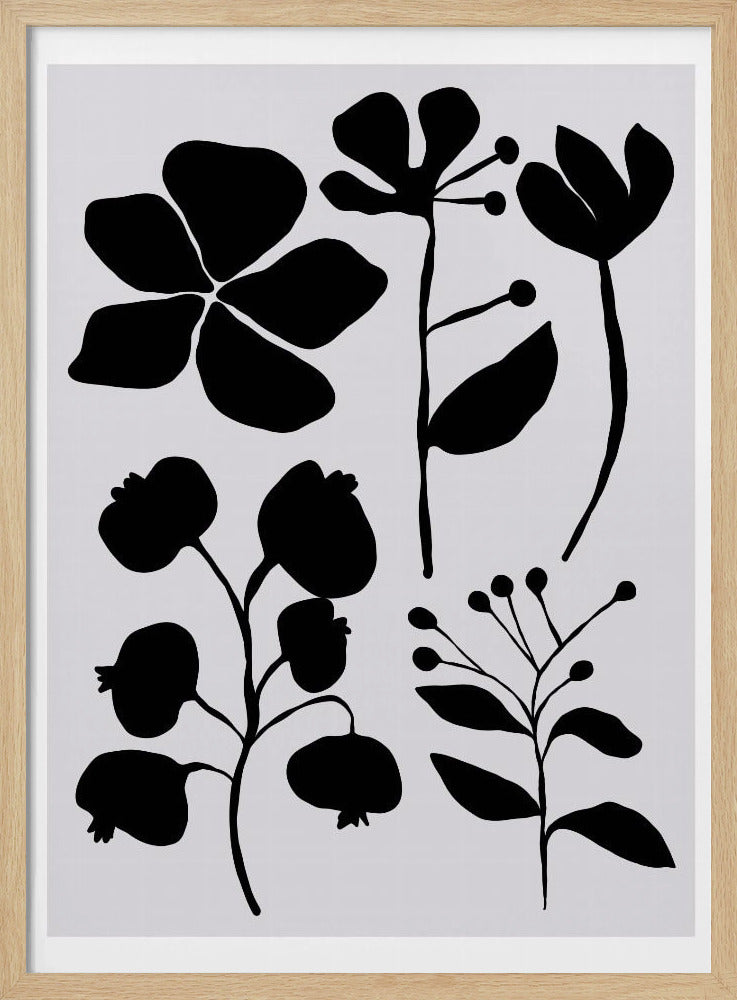 Silhouetted Blooms | Poster