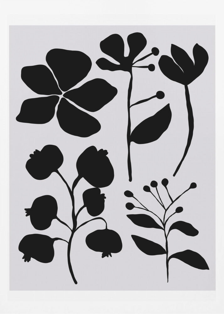 Silhouetted Blooms | Poster