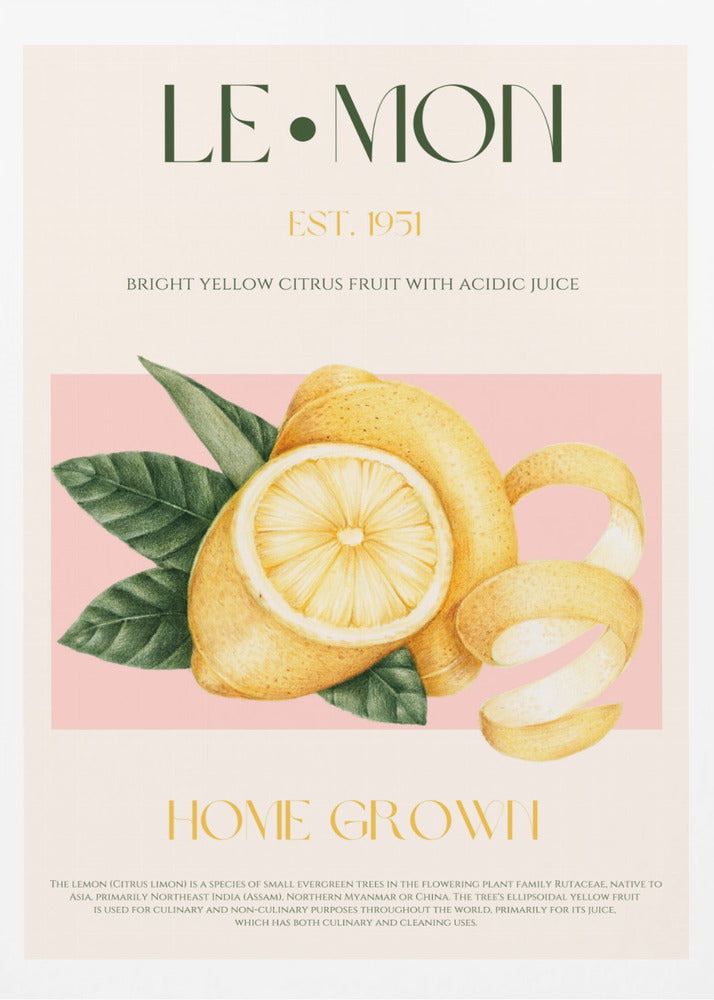 Vintage Style Sliced Lemon With Leaves | Poster