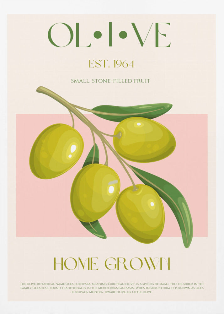 Goldene Oliven-Essenz | Poster
