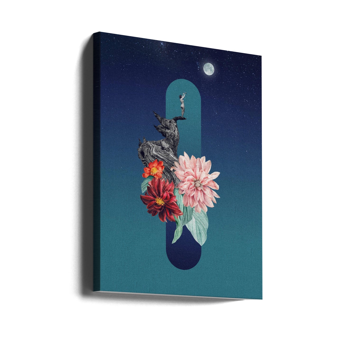 Full Moon | Canvas