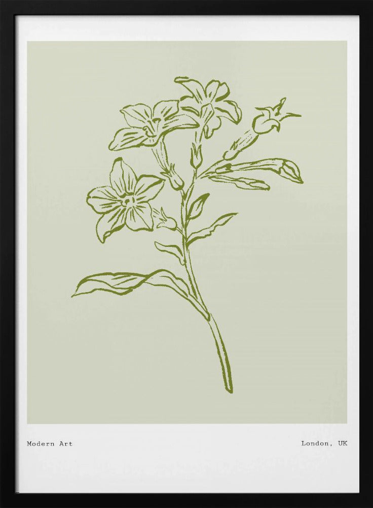 Botanical Elegance | Poster