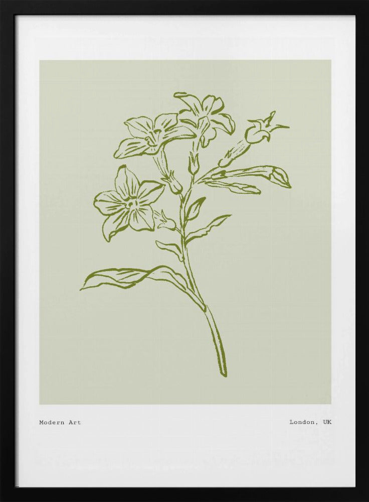 Botanical Elegance | Poster