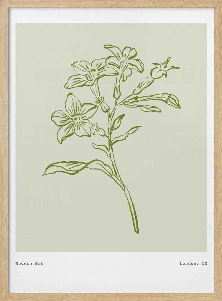 Botanical Elegance | Poster