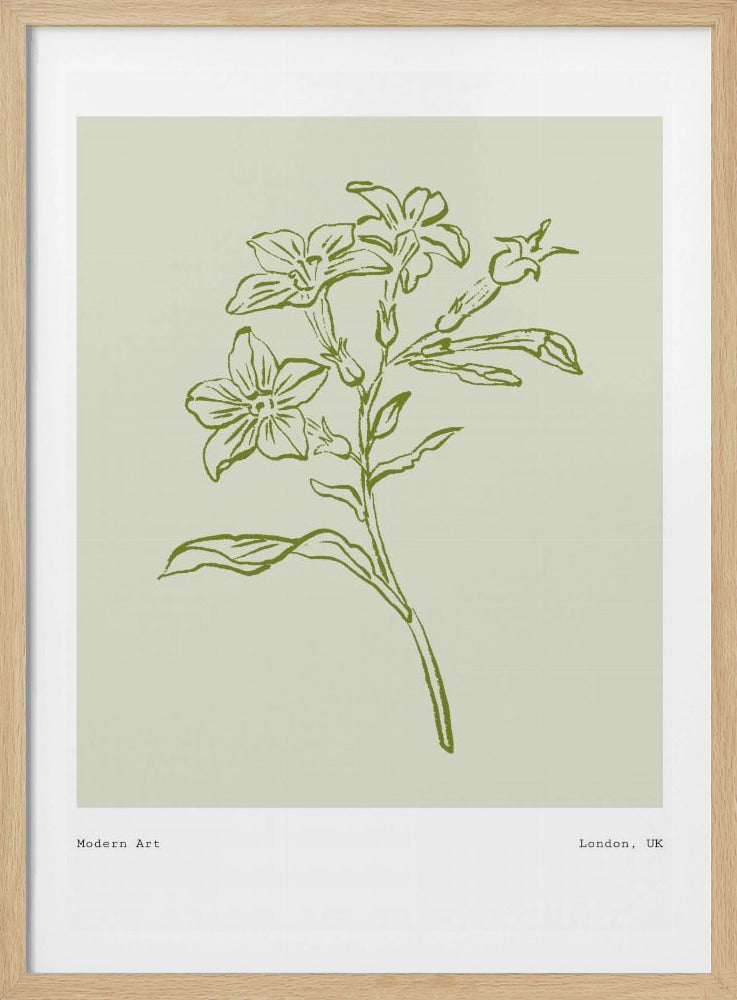 Botanical Elegance | Poster