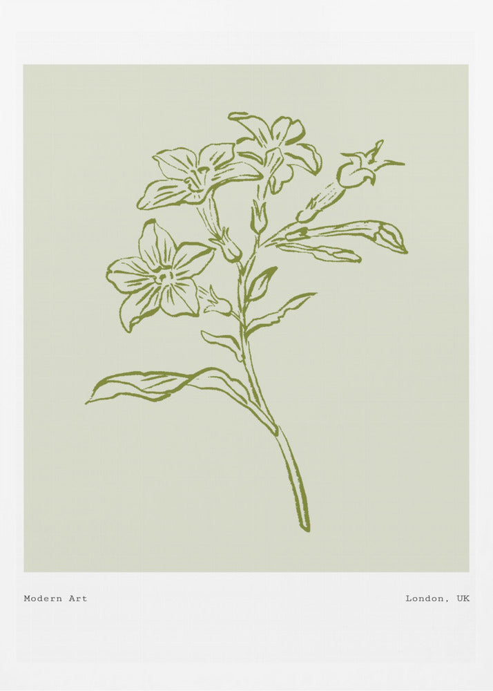 Botanical Elegance | Poster