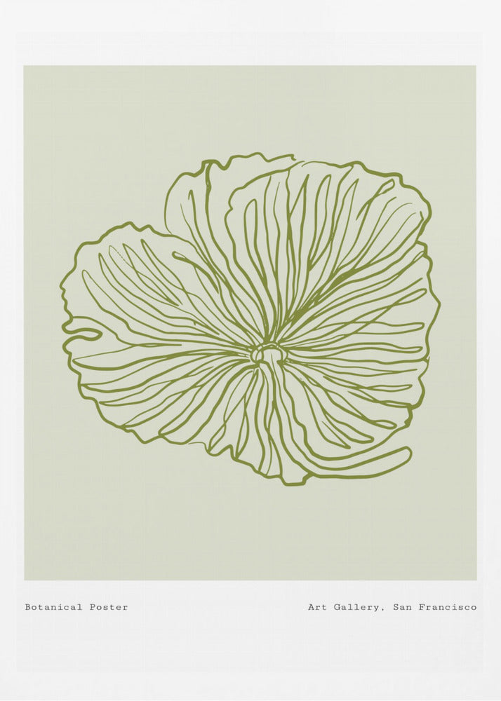 Floral Line Harmony | Poster