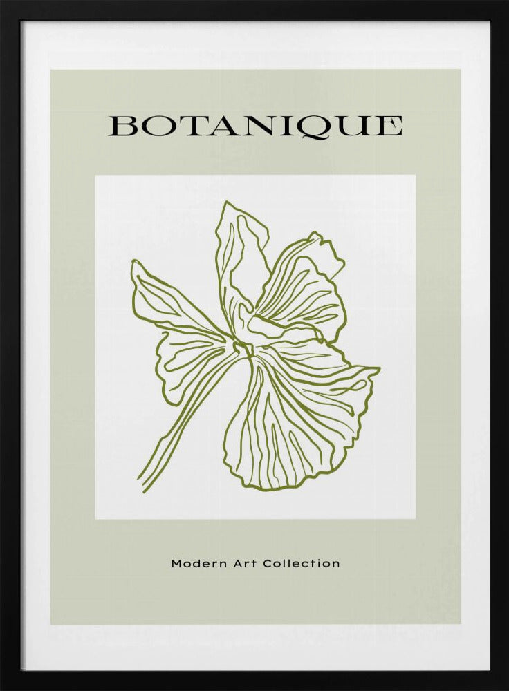 Green Flora Outline | Poster