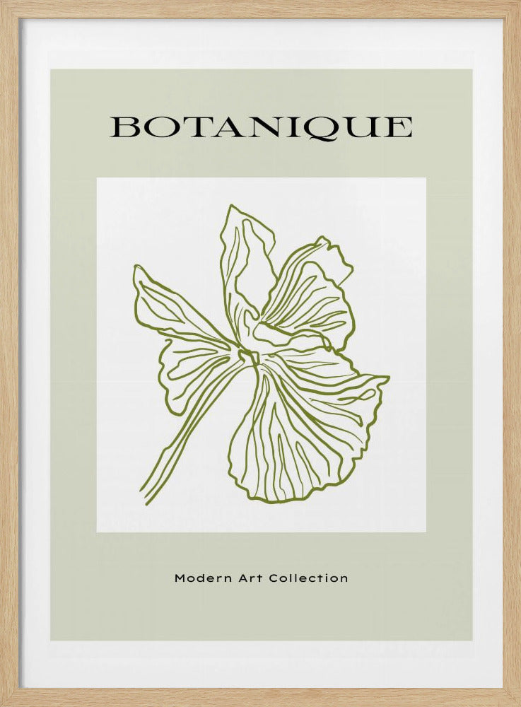 Green Flora Outline | Poster