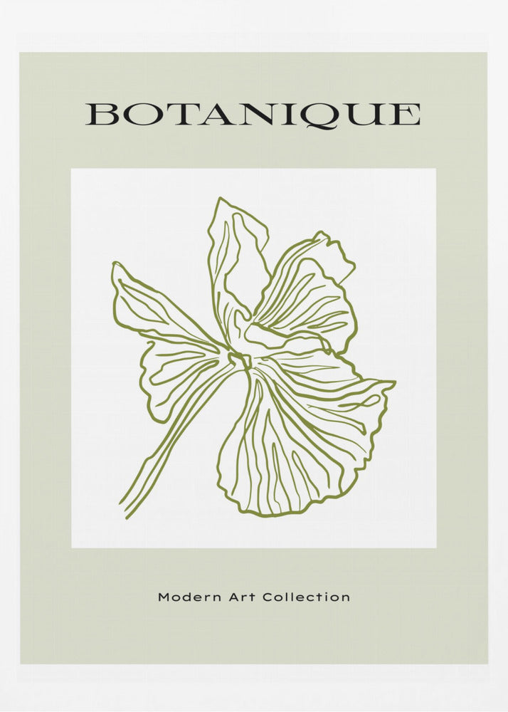 Green Flora Outline | Poster