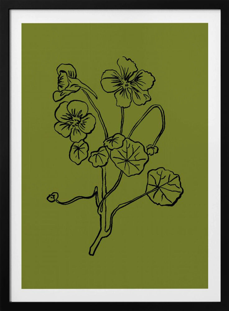 Delicate Lines of Nature | Poster