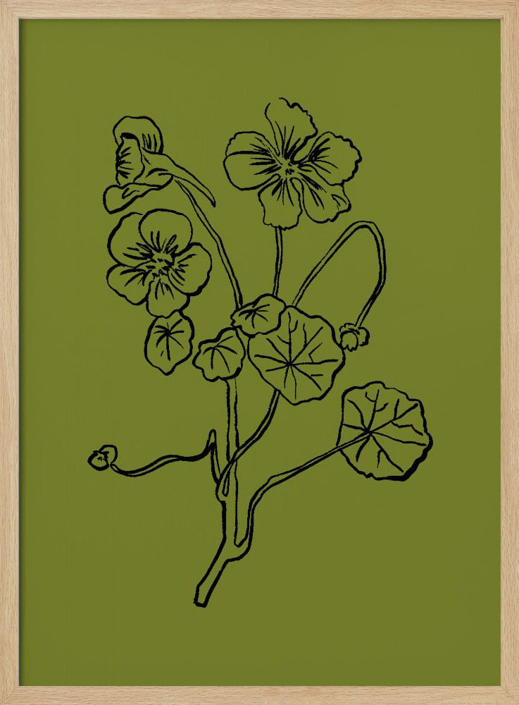 Delicate Lines of Nature | Poster