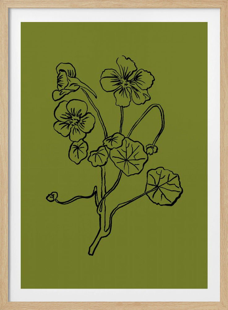 Delicate Lines of Nature | Poster