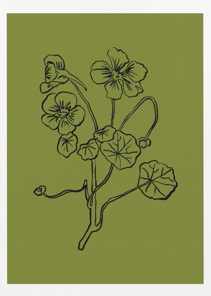 Delicate Lines of Nature | Poster