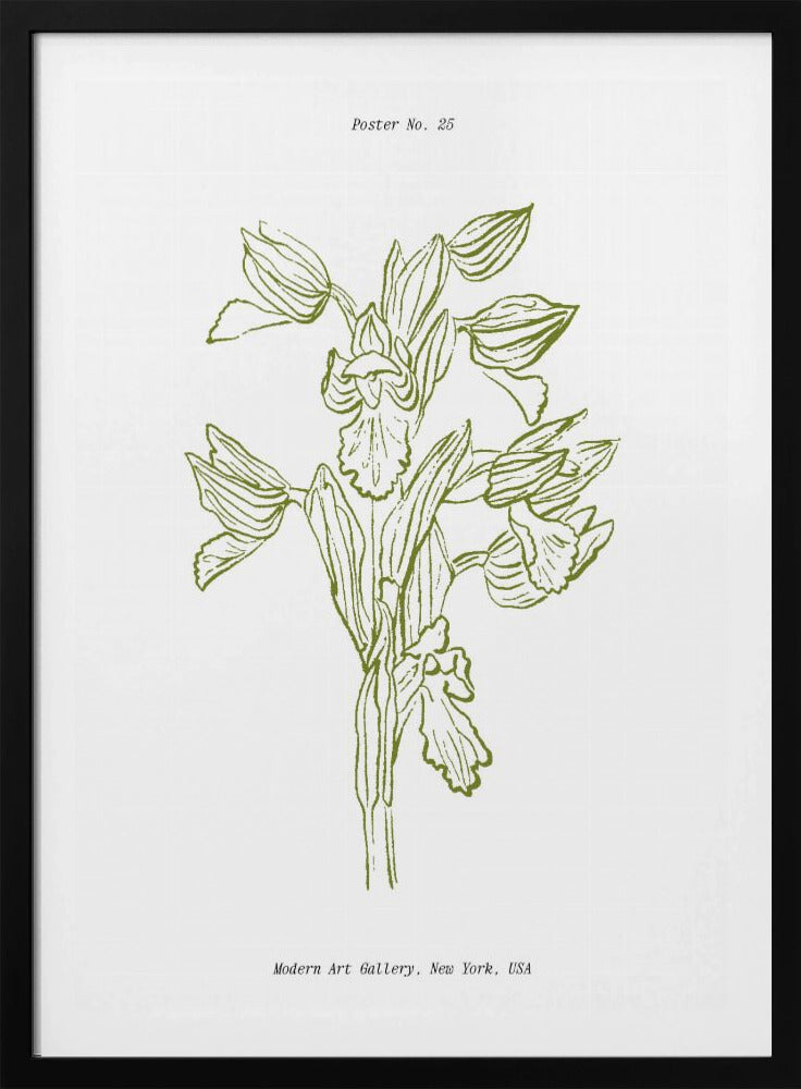 Orchid Harmony | Poster
