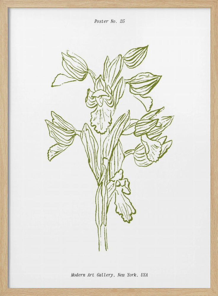 Orchid Harmony | Poster