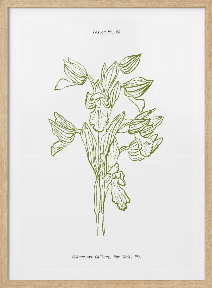 Orchid Harmony | Poster
